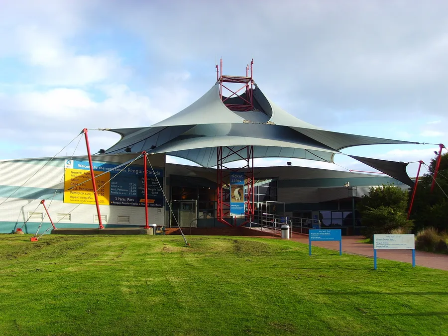 phillip island tour — up close