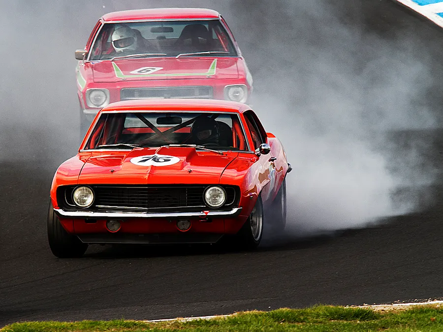 phillip island tour — up close