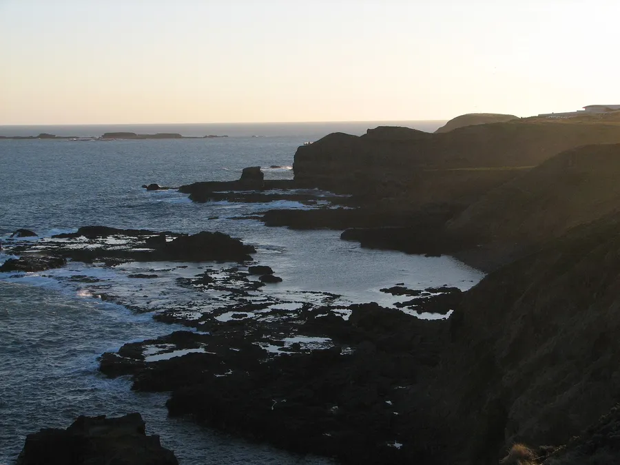 Getting started with phillip island tour
