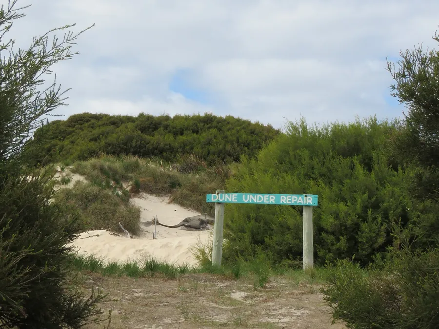 phillip island tour — in practice